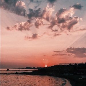 Meet your Posher, Avie